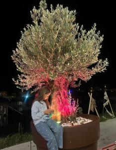 Billede fra billedgalleriet på Apartments Porto Belvedere i Kravlja