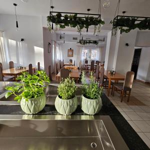 Hotel *** NAT Wisła餐廳或用餐的地方