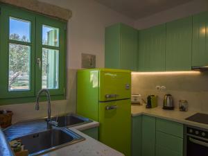 a green kitchen with a sink and a green refrigerator at Maravites Cottage in Zefiría