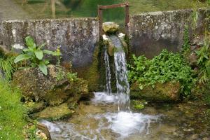 Zahrada ubytování La Source de Bury