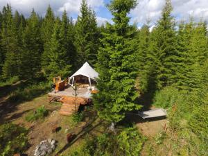 una vista aerea di una tenda nel mezzo di una foresta di Glamping Tent with amazing view in the forest a Torsby