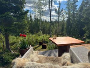 Foto dalla galleria di Glamping Tent with amazing view in the forest a Torsby
