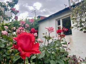Gallery image of Karen's house in Yerevan +16 photos