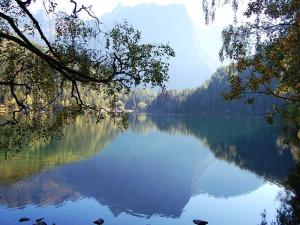 a view of a lake with trees and the water at Sportpension Kuen in Tumpen