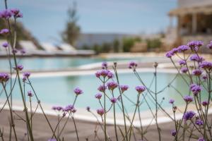 Golden Milos Beach Ηouse by Domotel内部或周边的泳池