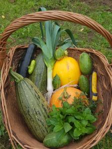 a basket filled with lots of fruits and vegetables at Wyspa Świerków in Lipusz +28 photos