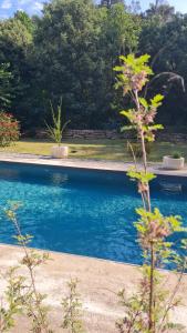 a swimming pool with blue water in a park at Les lauriers fleuris in Méounes-lès-Montrieux