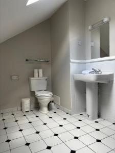 un bagno con un water e un lavandino di Harmony Inn - Glena House a Killarney Altre 23 foto