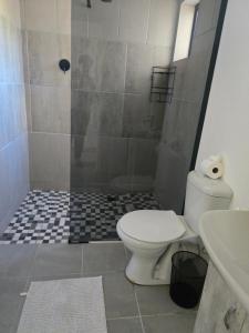 a bathroom with a shower with a toilet and a sink at Cozy Cottage in Hermanus