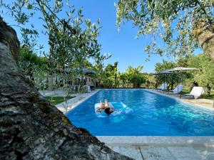 a person swimming in a pool next to a tree at Dimora Ezio in Lazise
