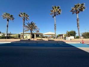 a tennis court with palm trees in the background at Pao Sky Blue in Lido di Fermo