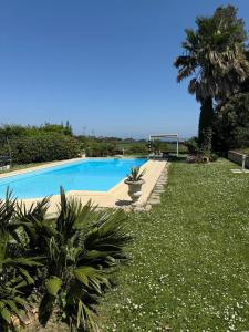 Una gran piscina azul con palmera y césped. en Blue Moon Relais, en Santa Maria di Scacciano