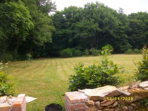 Κήπος έξω από το le petit chez soi du lac