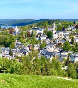 a small town with houses and a green field at Ferienwohnungen Goldhahn in Eibenstock