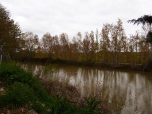 a body of water with trees and a river at Casa TioPito in Vadocondes