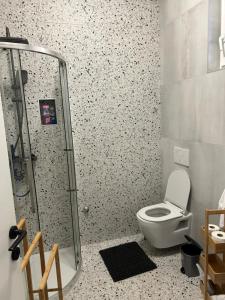 a bathroom with a toilet and a glass shower at Apartman Galah in Vukovar