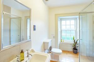 a bathroom with a sink and a toilet and a mirror at Penninghame Estate - Stewart Apartment in Challoch