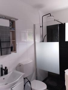 a bathroom with a toilet and a shower and a sink at Dubravka 3 in Luka +14 photos
