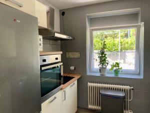 Kuchyň nebo kuchyňský kout v ubytování Apartma Zeus