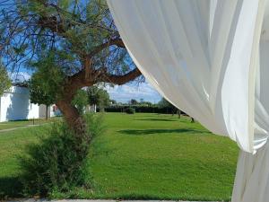 a white curtain next to a tree in a field at Spiaggiabella Resort in Torre Rinalda +14 photos