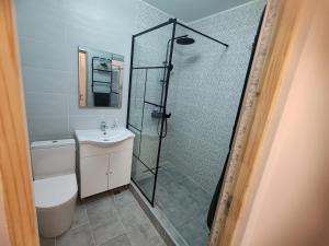 a bathroom with a shower and a toilet and a sink at NGR Residence in Ploieşti +65 photos