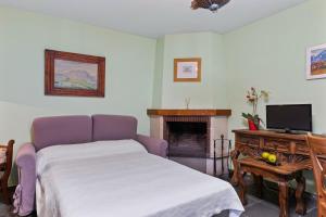 a bedroom with a bed and a tv and a fireplace at Puente del Narcea 4 in Cibuyo