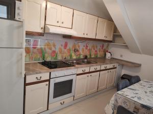 Kuchyň nebo kuchyňský kout v ubytování Apartment Eva