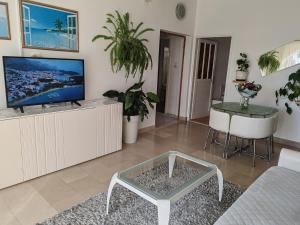 TV a/nebo společenská místnost v ubytování Apartment Eva