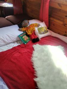 a teddy bear sitting on a bed reading a book at No frills narrowboat stay over experience in Lincoln +8 photos