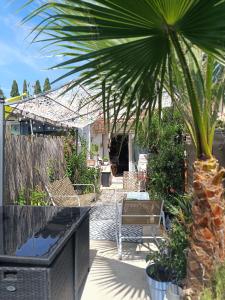 a patio with a palm tree and a bench at Maison hauteur Nice in Nice