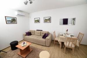 a living room with a couch and a table at NeVa Apartman, Banja Vrujci in Rakari