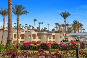 Сад в Grand Oasis Resort