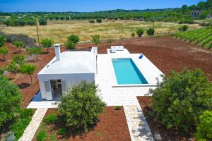 The swimming pool at or close to Masseria Macchia
