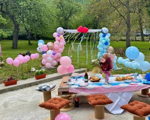 a table with a bunch of balloons and a bunch of food at Idila pod Rtnjem - Najam cele vikendice sa bazenom in Ilino