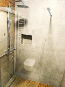 a bathroom with a glass shower with a toilet at Apartments Danilo in Herceg-Novi