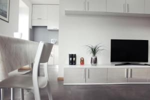 soggiorno con TV a schermo piatto e armadio di Loft and Palma Apartments a Capodistria
