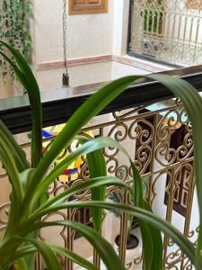 Fotografie z fotogalerie ubytování Riad Alice Terrace & Spa v Marrákéši