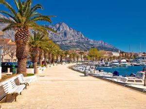 a pathway with palm trees and boats in a marina at Villa H&M in Baška Voda