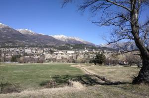 a field with a tree and mountains in the background at Poterie d'Art in Embrun