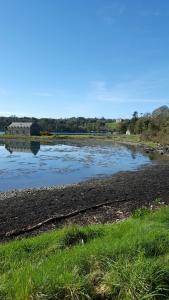 Foto dalla galleria di The Castle Apartment a Strangford