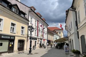 a street in a city with buildings and flags at Art apartment Kranj in Kranj