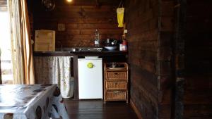Kuhinja oz. manjša kuhinja v nastanitvi Campeggio Bungalow Darwin