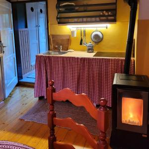 Kuchyň nebo kuchyňský kout v ubytování Sachserhof Ferienwohnungen in Sachsenburg