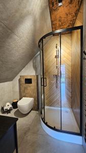 a bathroom with a shower with a toilet and a sink at Apartament Jaskier in Zakopane