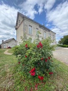 Zahrada ubytování Hôtel Le Verger