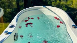 a bath tub filled with blue water with red debris at Cabanas do Valle in Itaara