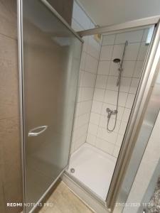 een douche met een glazen deur in een badkamer bij City Center ground floor in Oostende