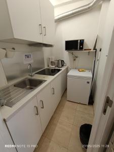 een kleine keuken met witte kasten en een spoelbak bij City Center ground floor in Oostende