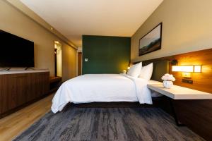 ein Hotelzimmer mit Bett und Flachbildfernseher in der Unterkunft Hilton Garden Inn Clackamas Portland in Clackamas + 8 Fotos