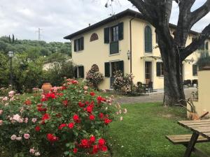 Zahrada ubytování Residence Prunali